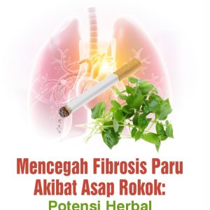 Mencegah Fibrosis Paru akibat Asap Rokok: Potensi Herbal Peperomia Pellucida