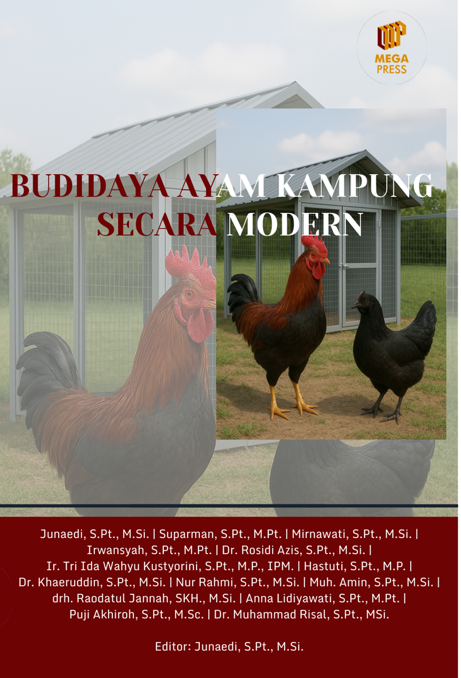 Budidaya Ayam Kampung secara Modern